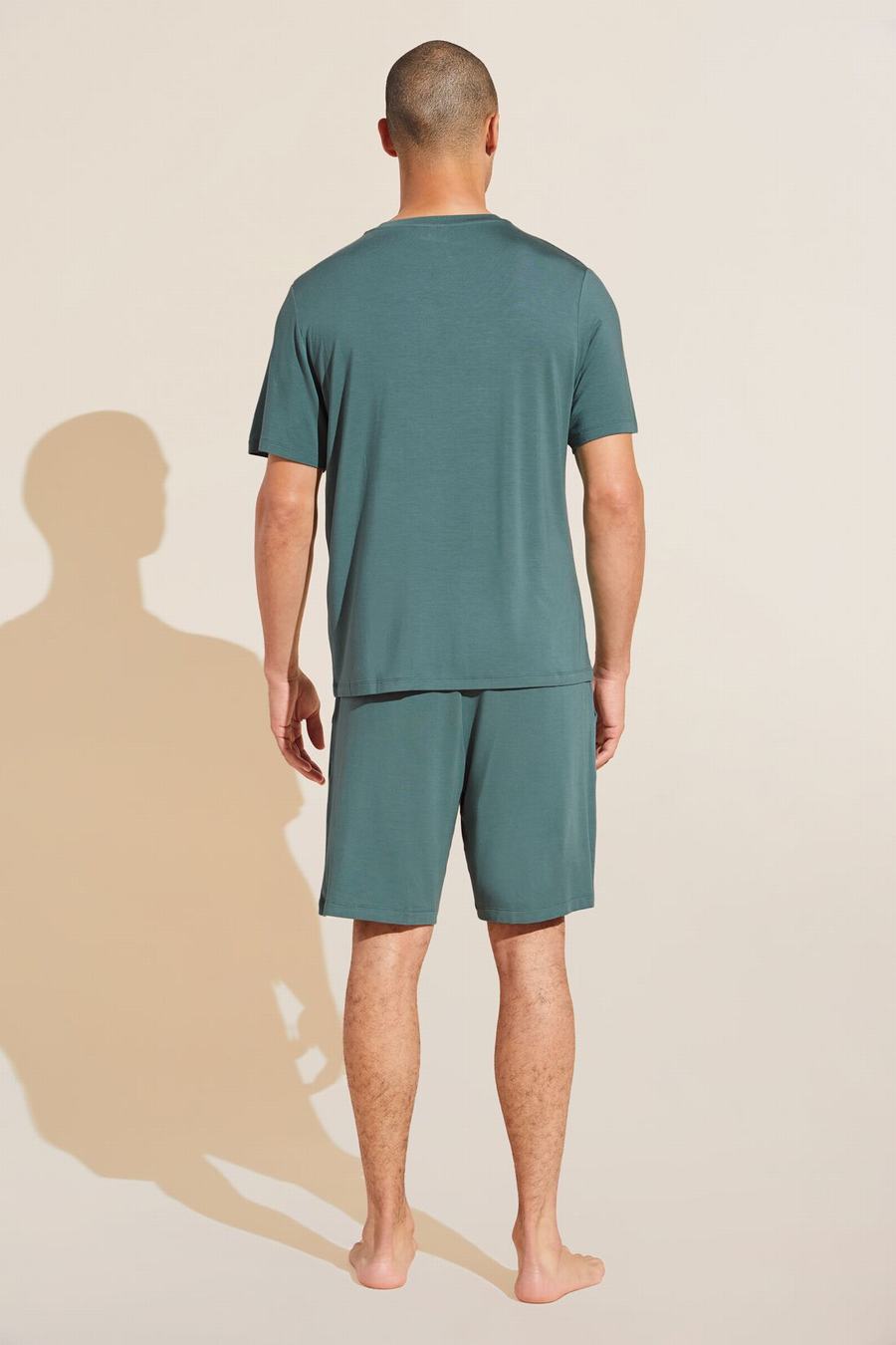 Piżama Męskie Eberjey Henry TENCEL™ Modal Short PJ Set Zielone | UET3335DI