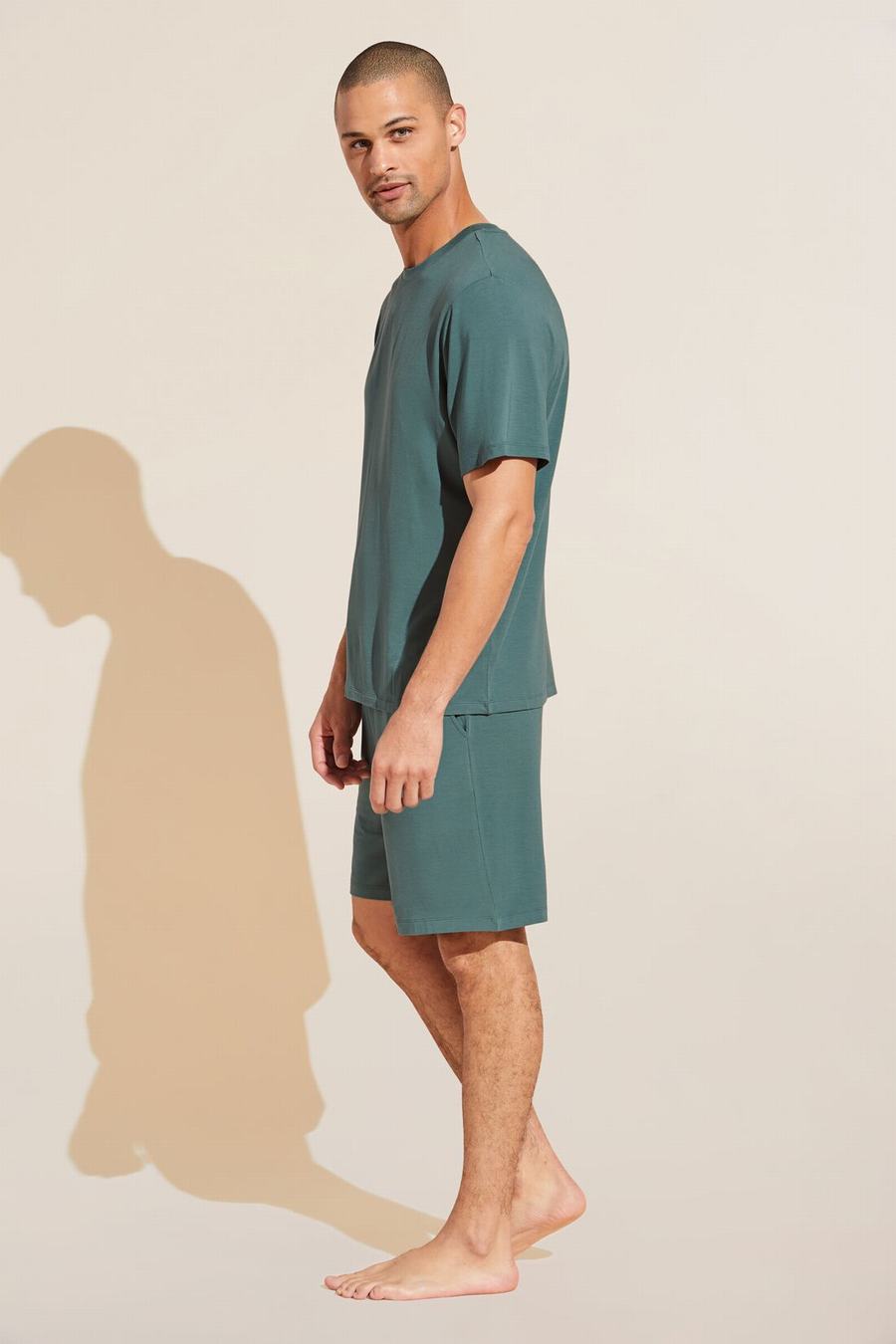 Piżama Męskie Eberjey Henry TENCEL™ Modal Short PJ Set Zielone | UET3335DI